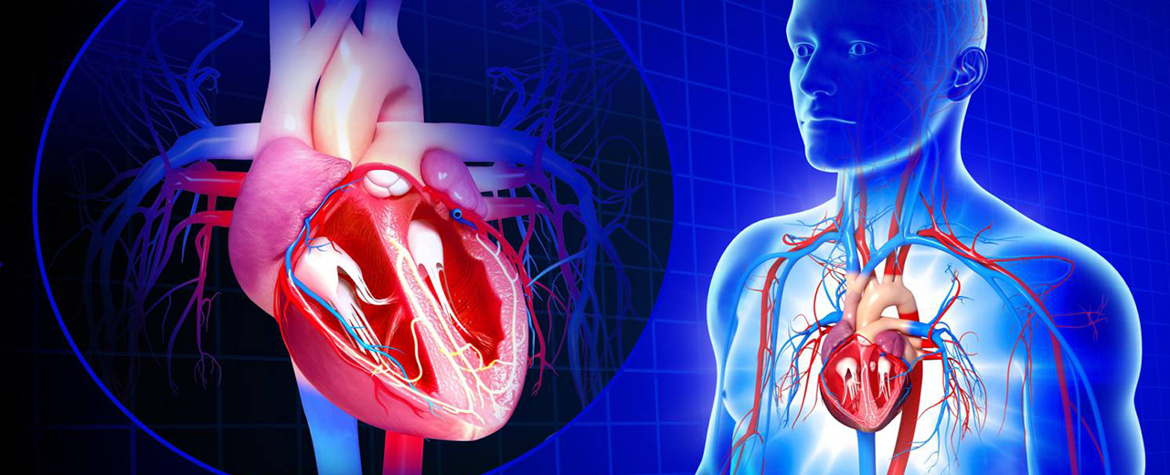 Top Trends & Innovations in the Healthcare Industry