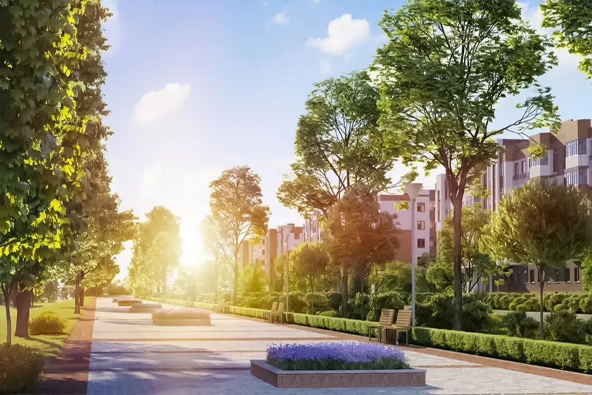 Mid-City Homes- Live Up to Life!