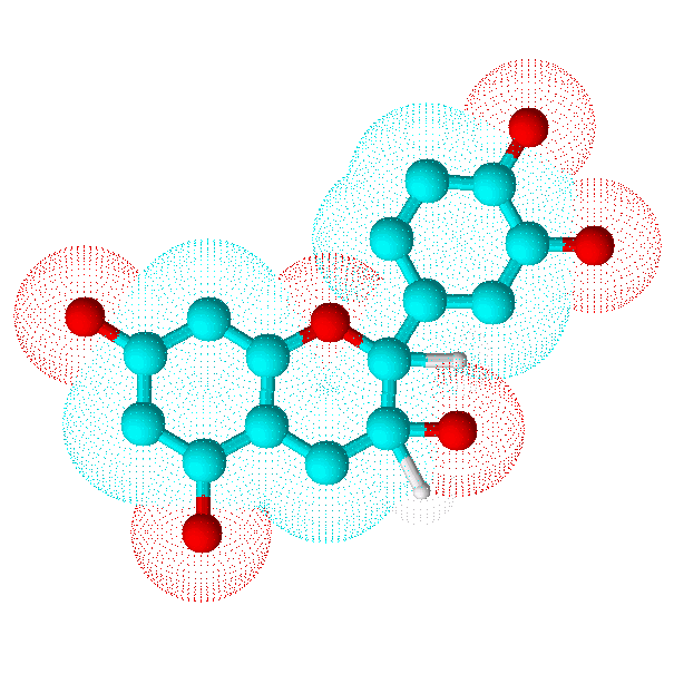 Catechin Market Overview, Growth And Industry Demand