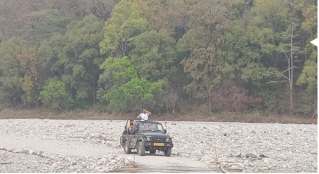 Tips for Best Wildlife Photography at the Jim Corbett National Park