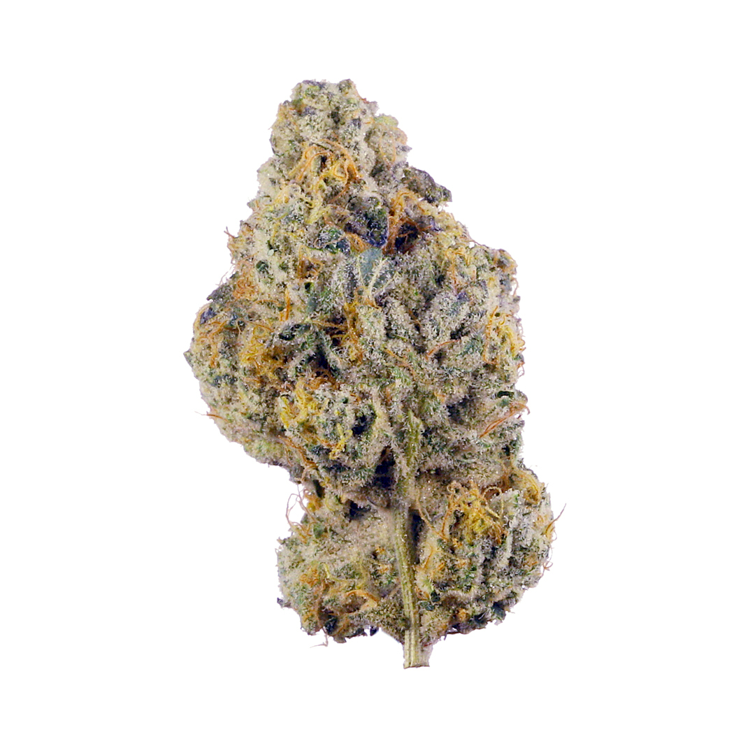 Using Purple Queen AAA for Anxiety, Pain & Sleep Support