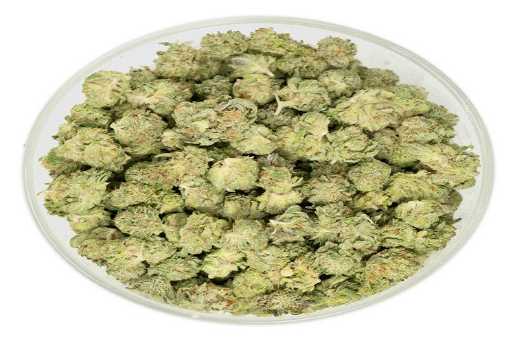 How to Store Popcorn Buds to Maintain Freshness
