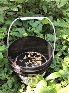 Misting System Applied To Mosquito Control