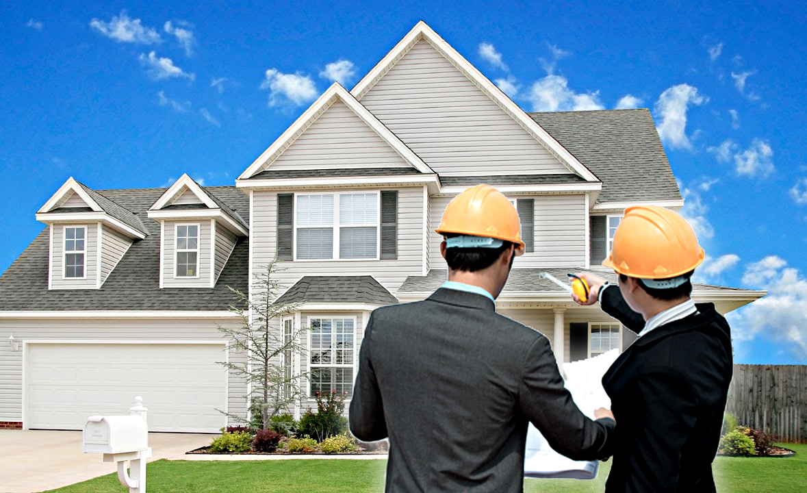 Uncover the Signs: When Should You Get a Termite Inspection?