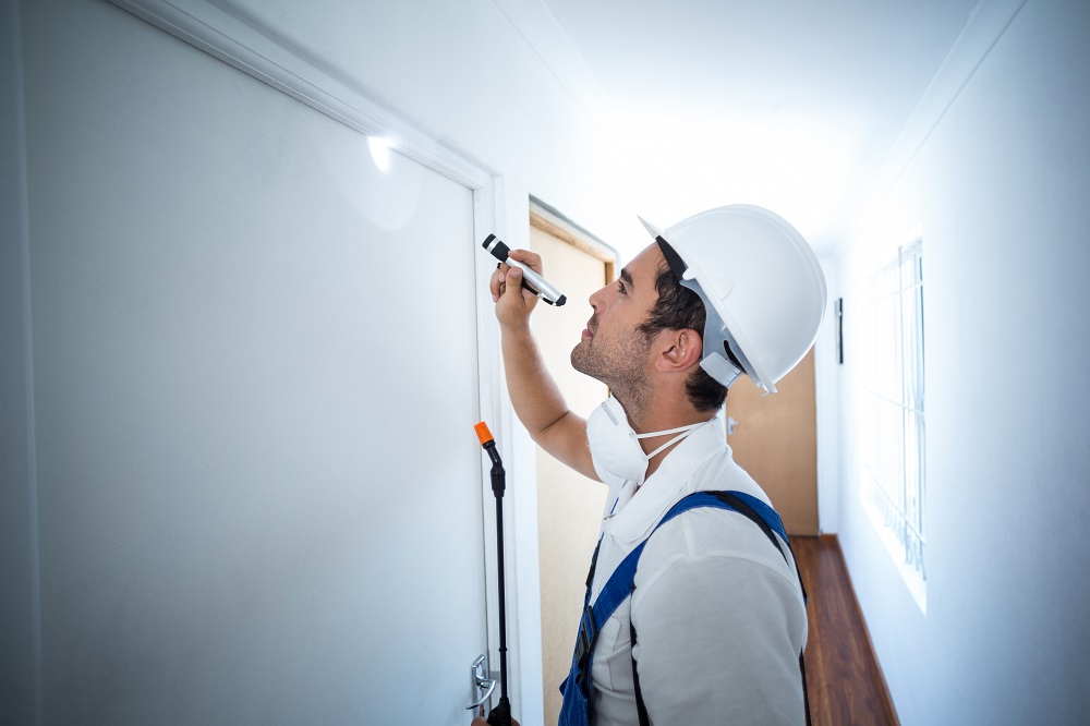 Why Pest Inspections Are Essential For Every Homeowner?