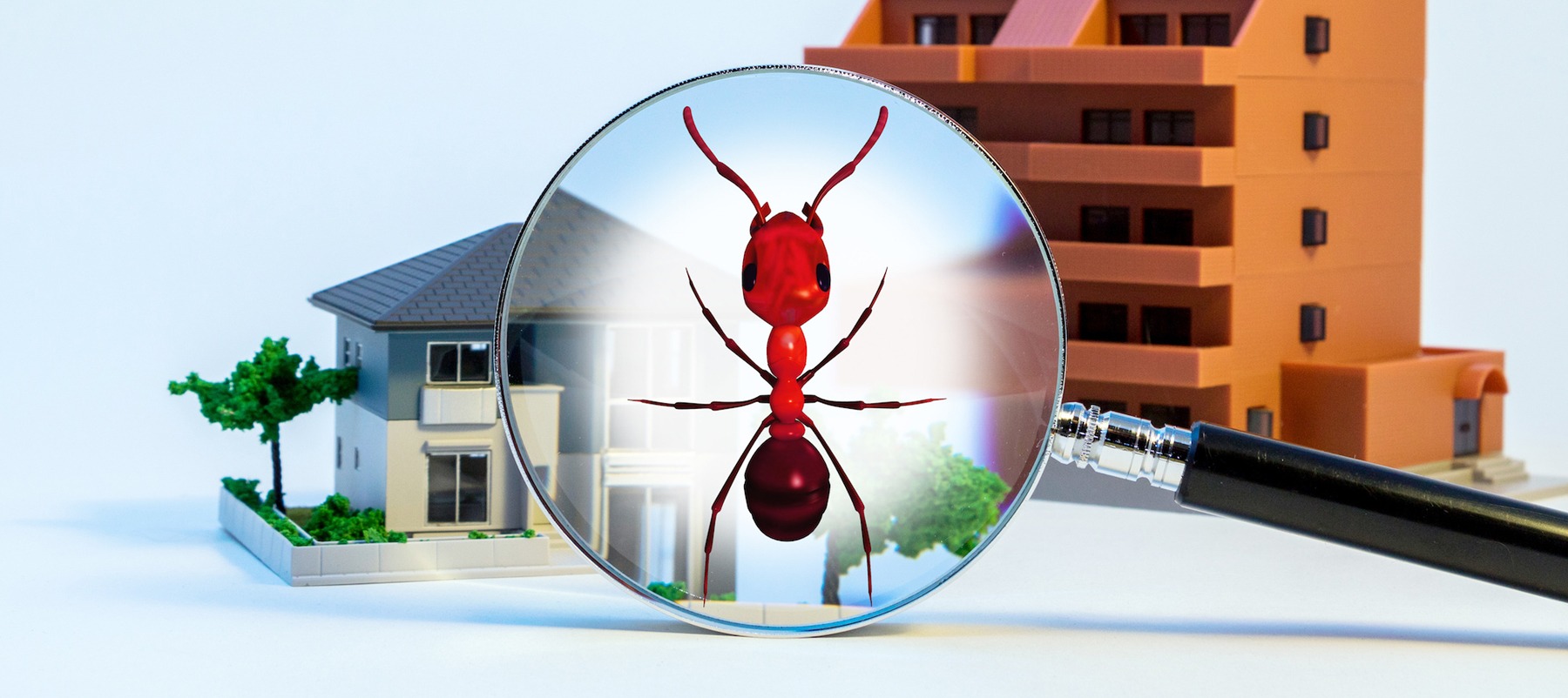 Termite Inspections: Protecting Your Home From Silent Destroyers