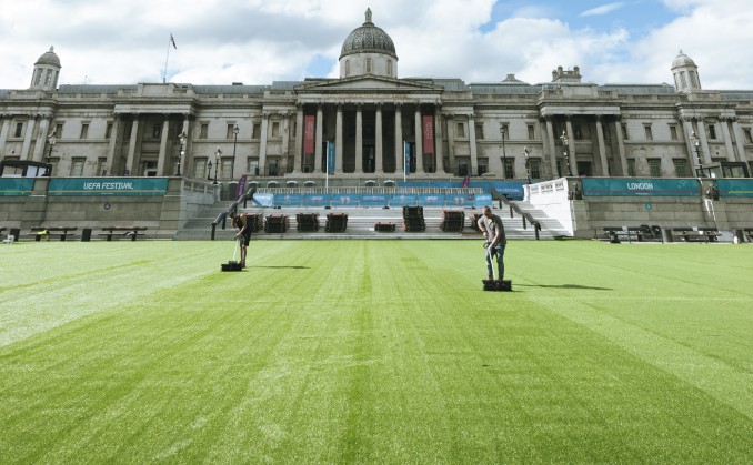 Key Attributes To Look For In A Provider of Artificial Grass Installations?