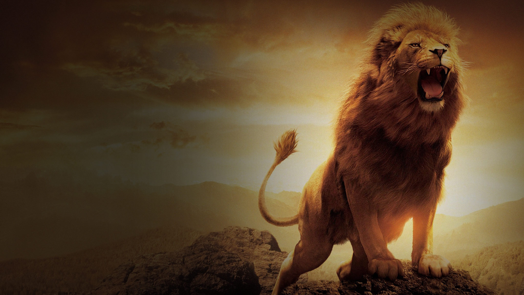 LIONIPTV - YOUR NUMBER 1 IPTV PROVIDER