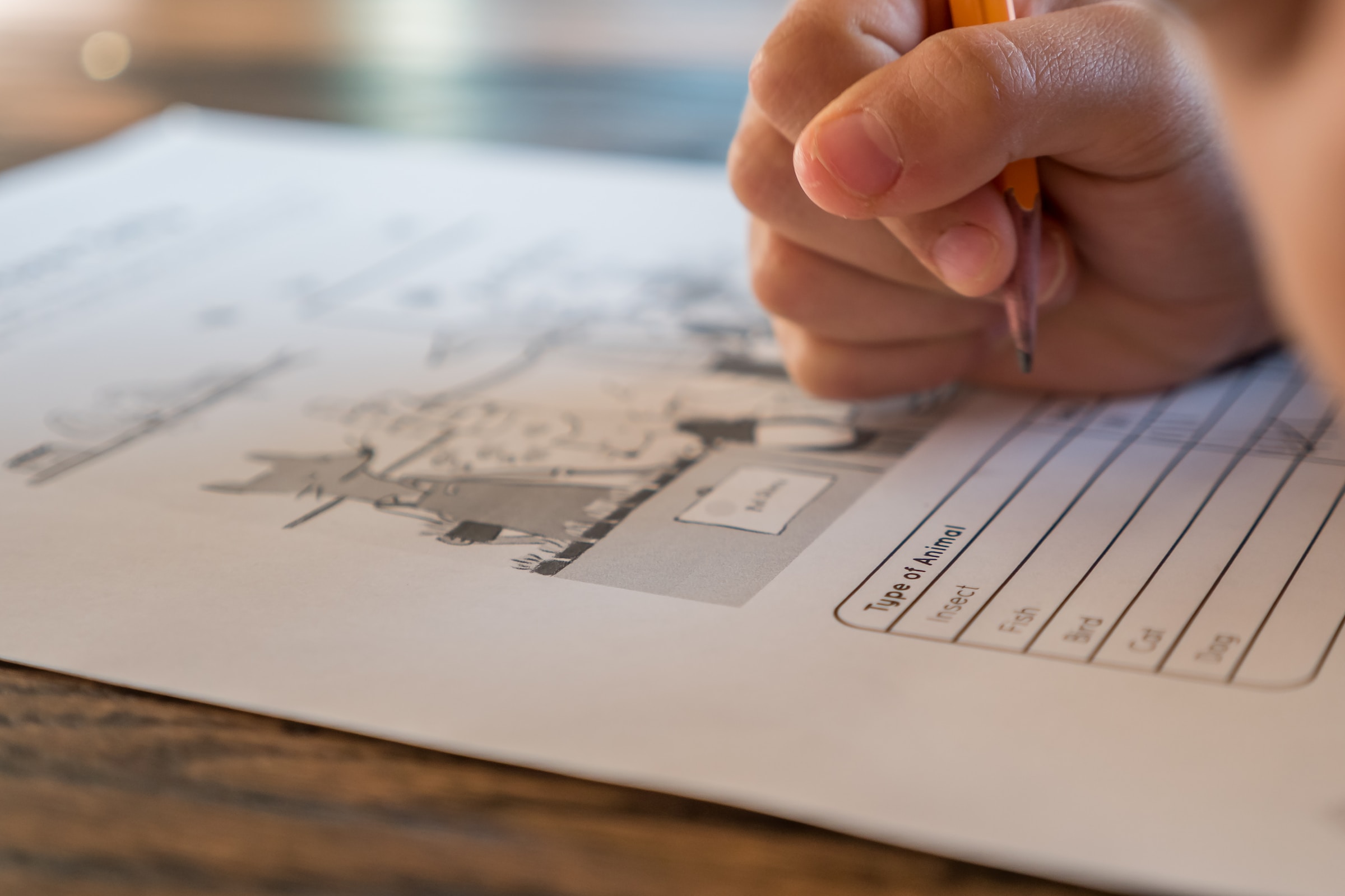 5 Benefits of Homeschooling for a Child with Special Needs