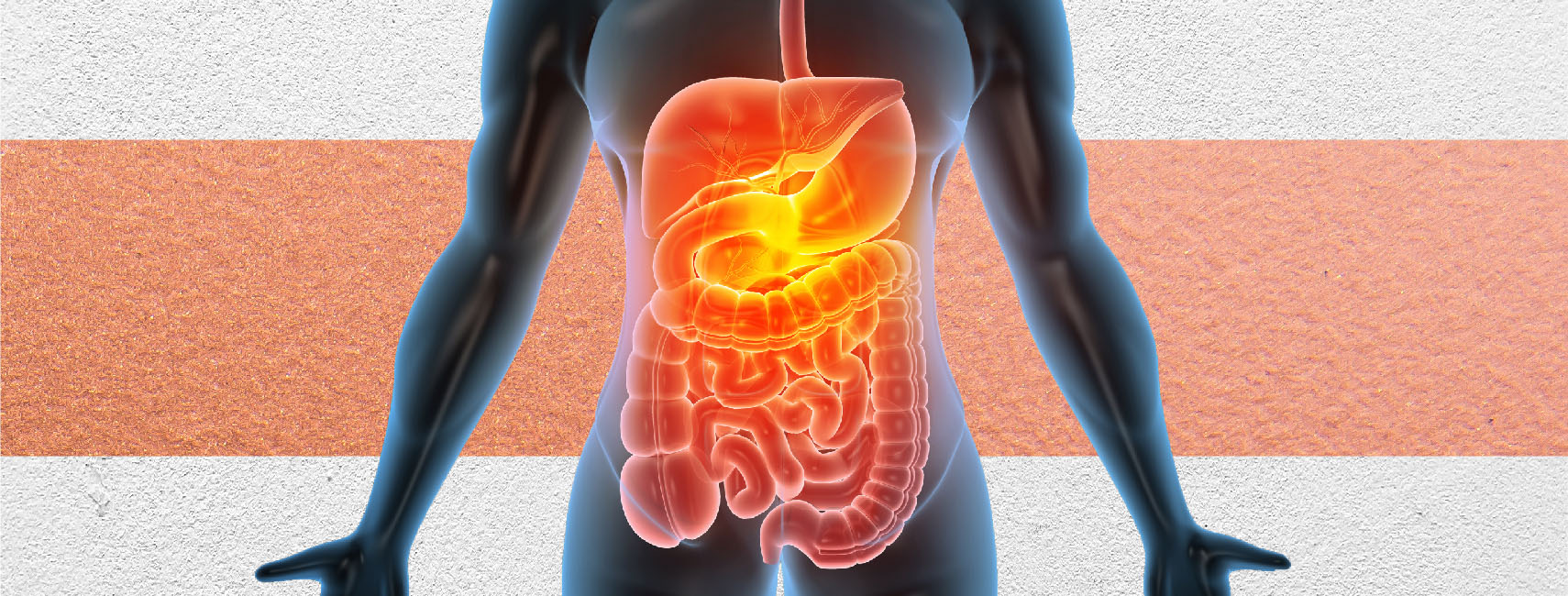 How Often Should You Have an Endoscopy or Colonoscopy?
