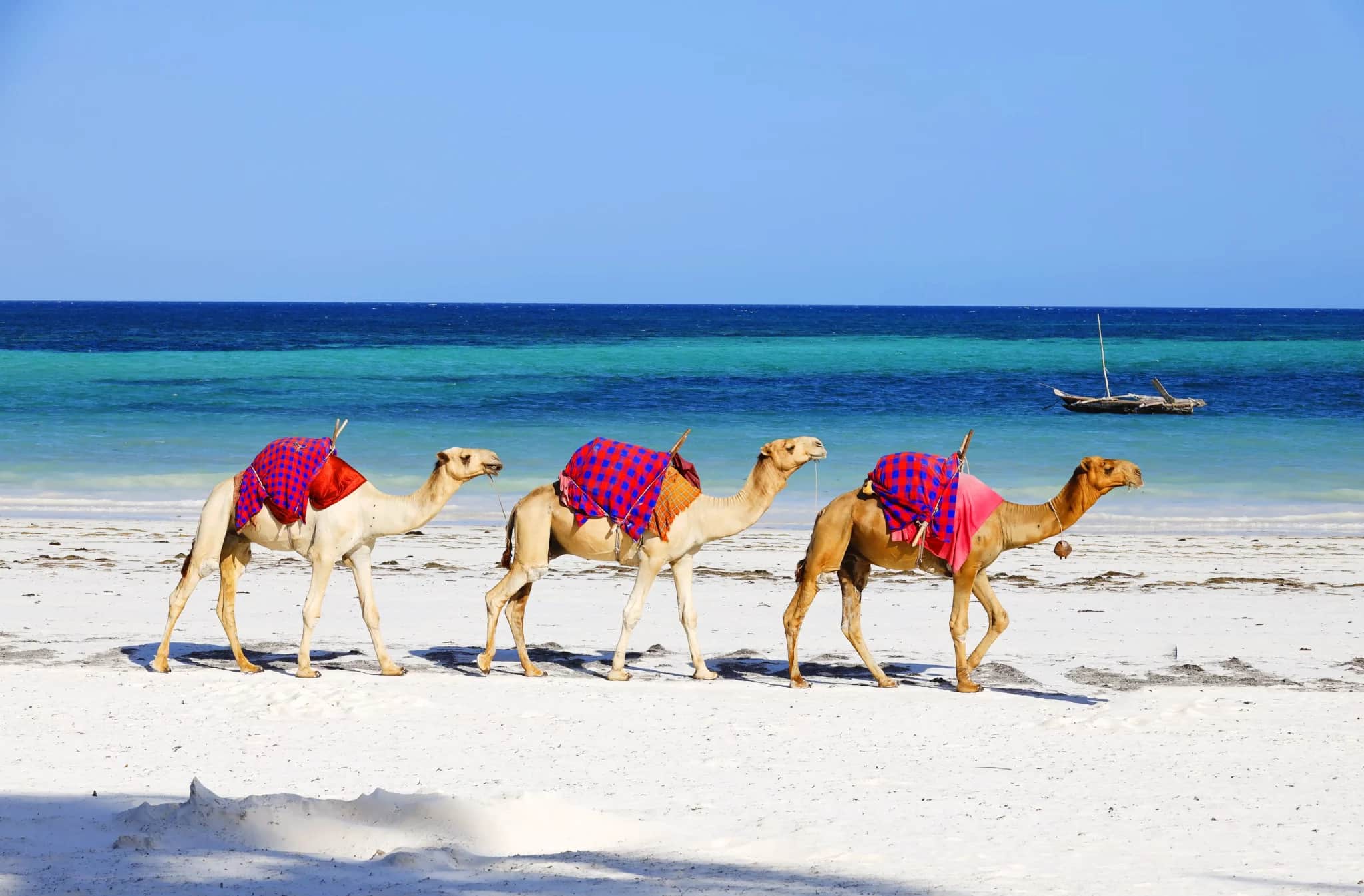 Revealing the Hidden Gems of Oman’s Natural Beauty