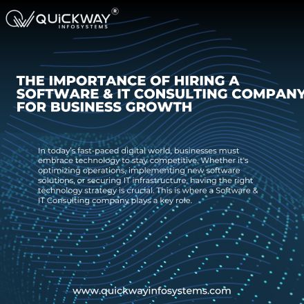 The Importance of Hiring a Software & IT Consulting Company for Business Growth