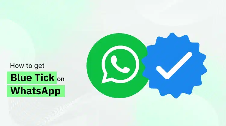 Decoding the Significance of WhatsApp Blue Tick: Brief Insights