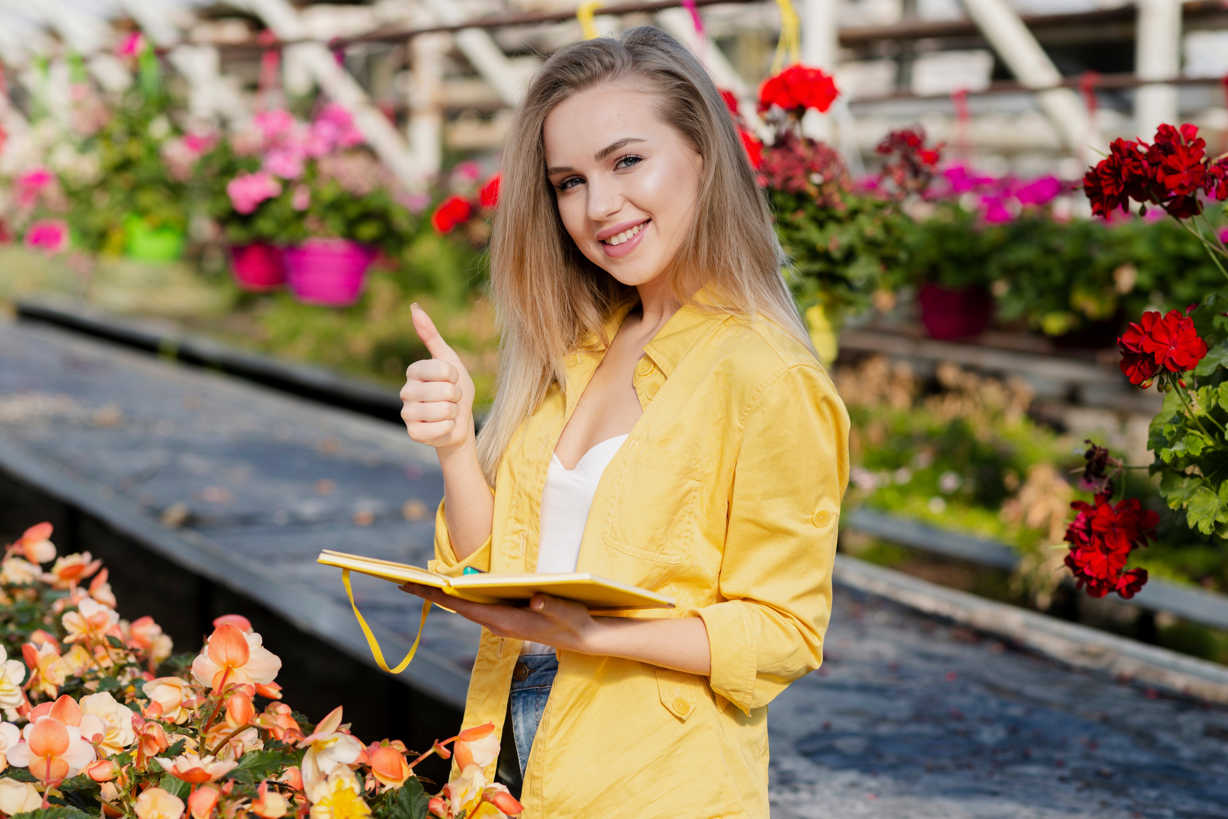 Budget-Friendly Landscaping Ideas from a Scottsdale Landscape Designer