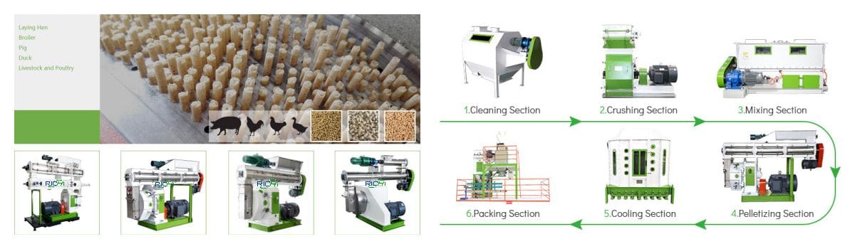 1-48T/H hen pellet making machine for animal