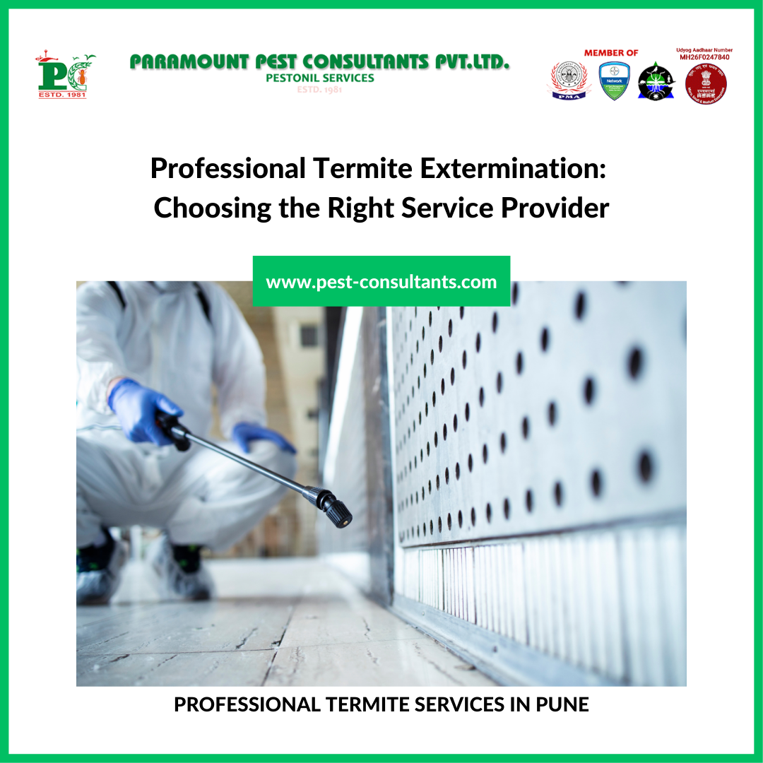 Professional Termite Extermination: Choosing the Right Service Provider
