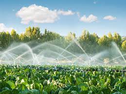 Water Quality Sensor in Agriculture Market 2022 Major Key Players and Industry Analysis Till 2028