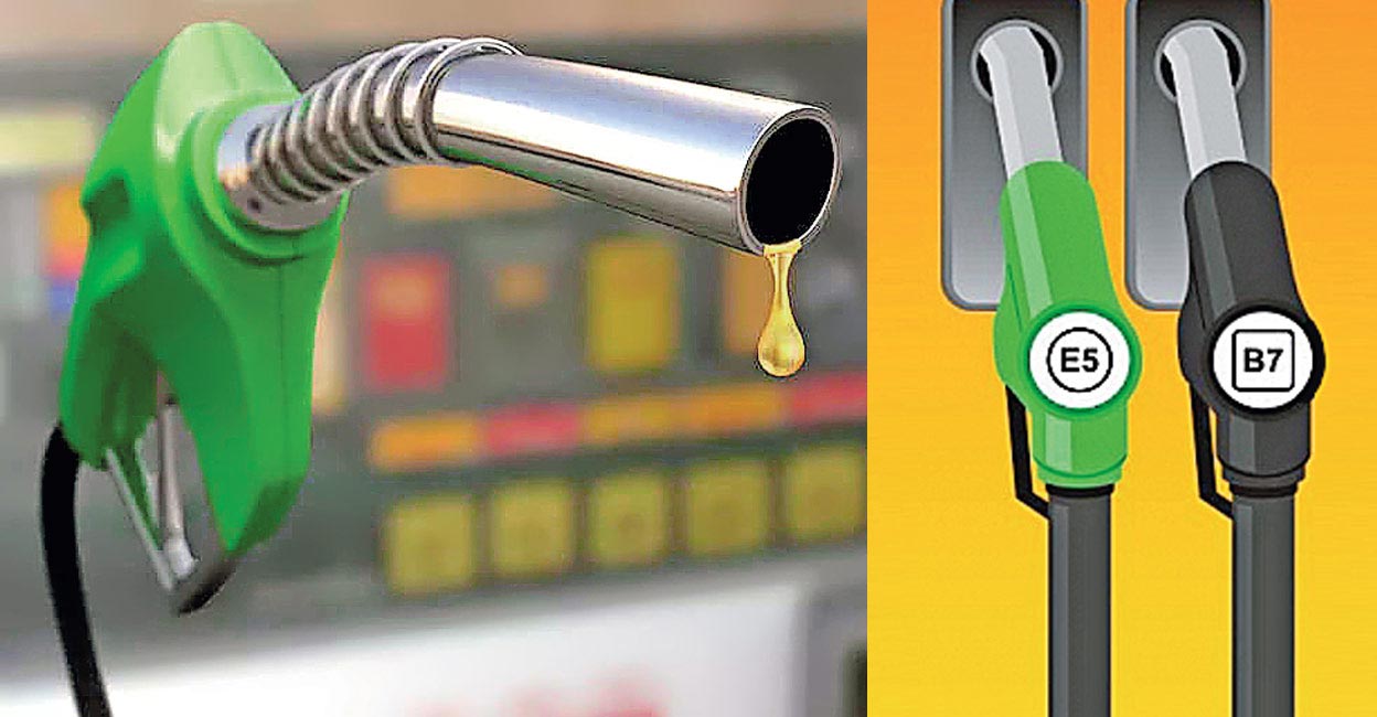 Fuel Ethanol Market 2022 Size, Dynamics & Forecast Report to 2028