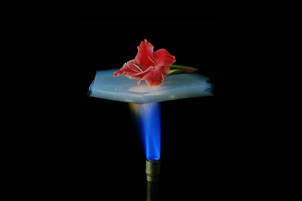 Silicon Dioxide Aerogel Market Size, Share, Trends Analysis Report By Product (Micro Silicon Dioxide Aerogel,Ultrafine Silicon Dioxide Aerogel), By Application (Construction,Marine), By Region (Europe,China,Japan) And Global Forecast 2018-2023