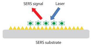 SERS Substrate Market Size, Status, Growth | Industry Analysis Report 2020-2028