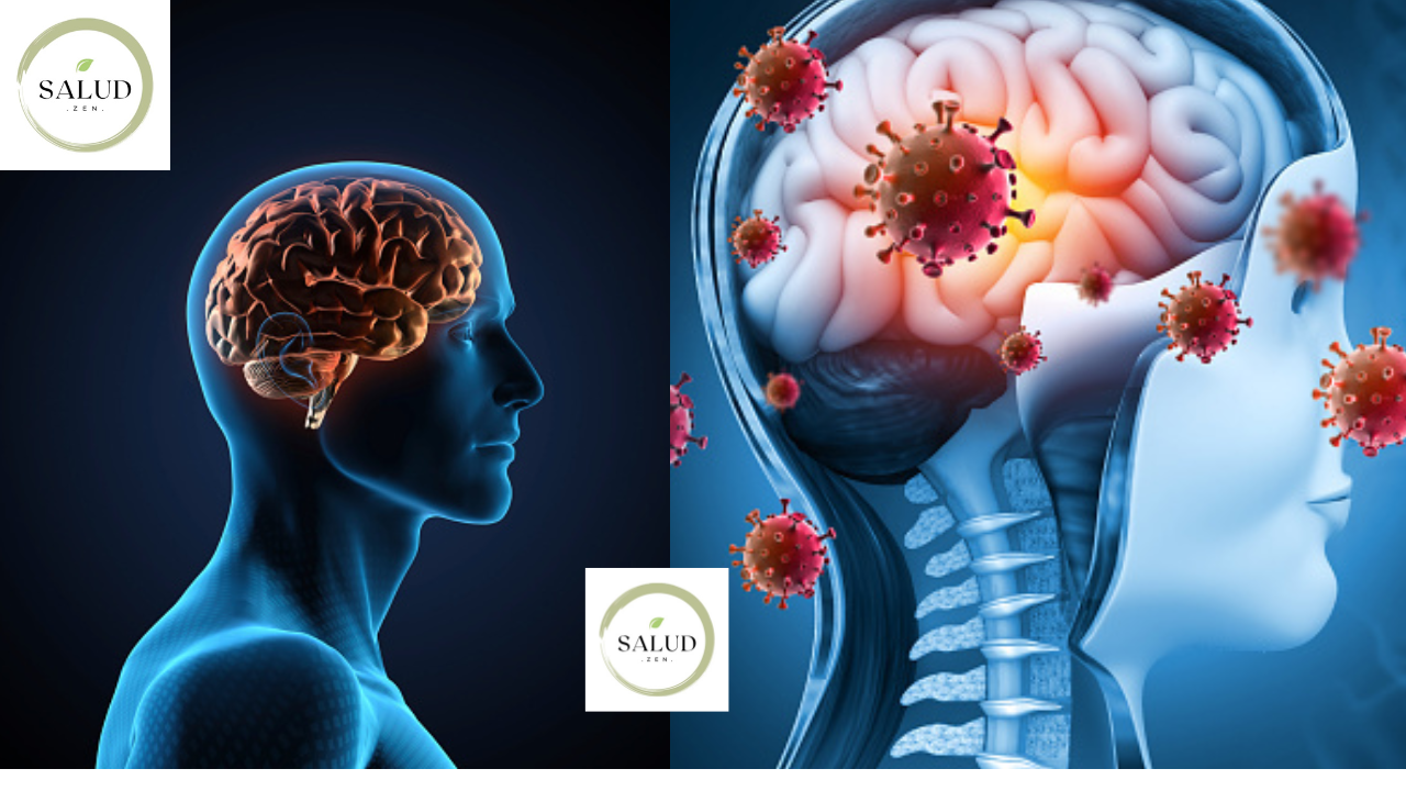 the following information about brain