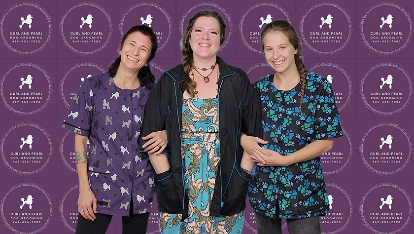 Best Dog Grooming Services Allen Texas