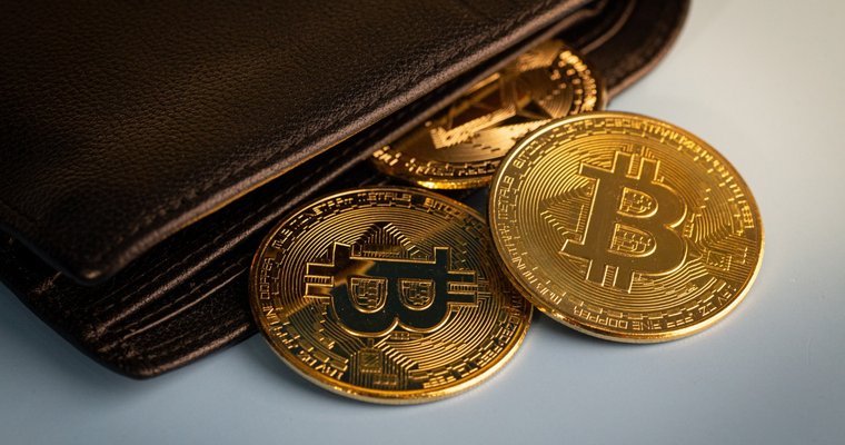 Crypto Wallet Market Analysis, Opportunities, Growth, Size, Share and Forecast