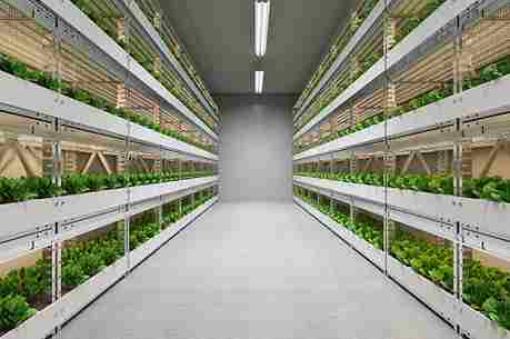 North America Vertical Farming Market Share, Size , Trends, Analysis, Growth and Forecast
