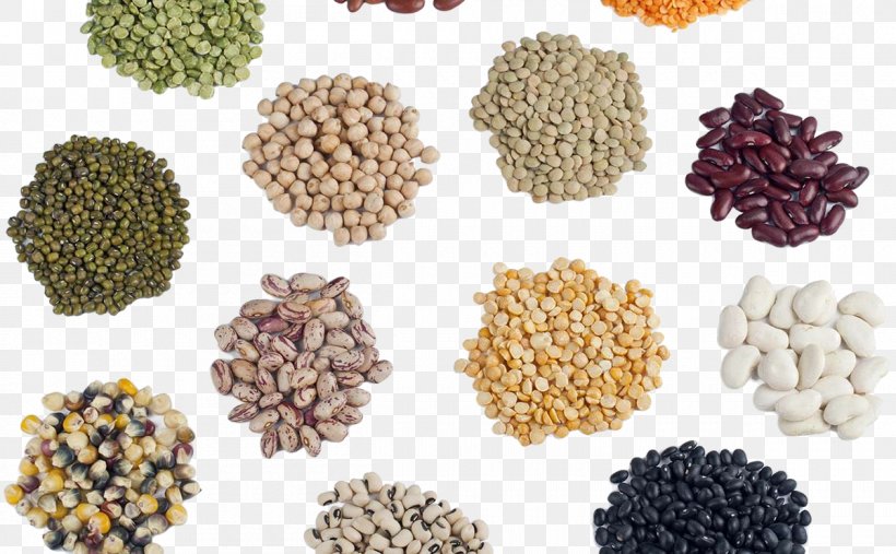 Global Seeds Market Analysis, Opportunity, Growth, Share, Size and Forecast 