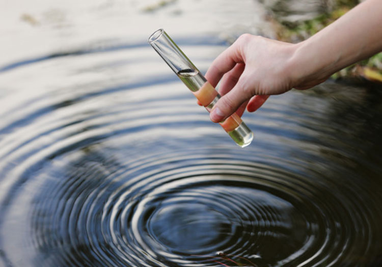 India Environmental Testing Market Analysis, Growth, Opportunity, Size, Share, and forecast