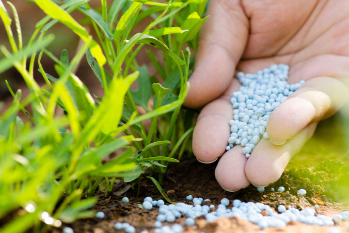 Global Fertilizers Market  Set to Surpass Billions by 2015-2025
