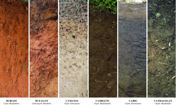 Digital Soil Mapping Market Analysis, Growth, Share, Size, Trends and Forecast 