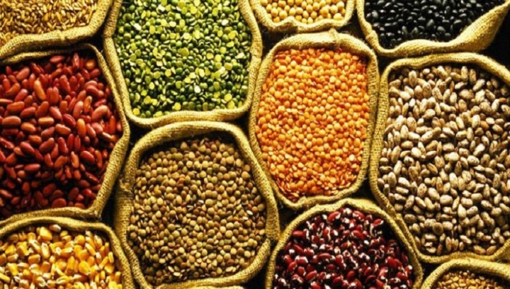 Predicted Growth for Europe Seeds Market Expected to Reach Billions by 2015-2025