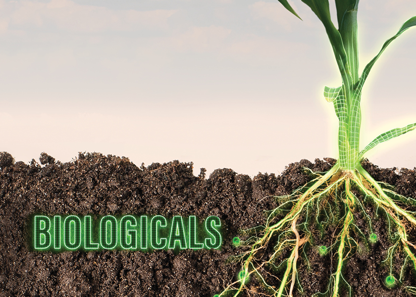 Europe Agricultural Biologicals Market Analysis, Opportunity, Growth, Share, Size and Forecast 