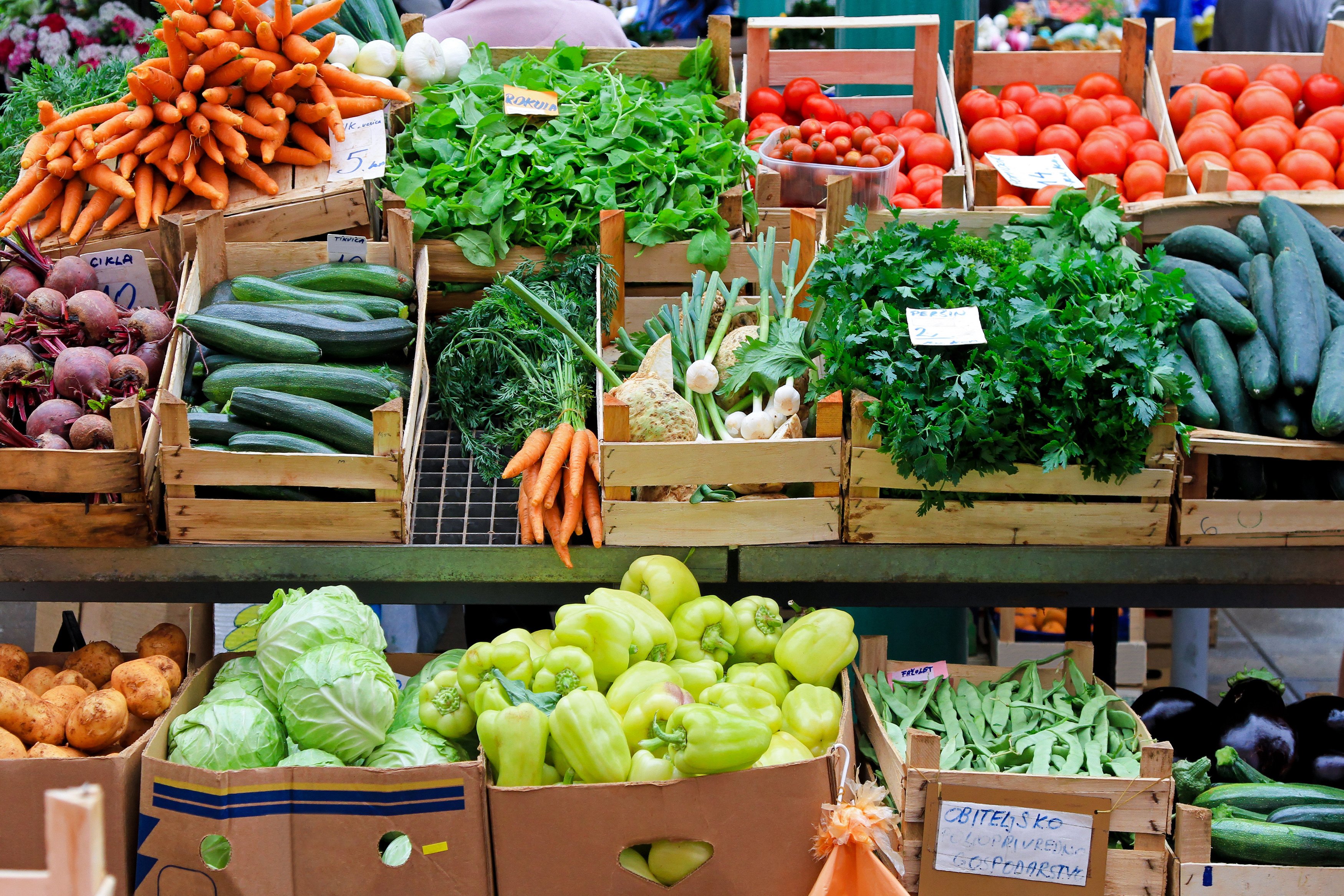 India Organic Farming Market Analysis, Growth, Share, Size, Trends and Forecast 