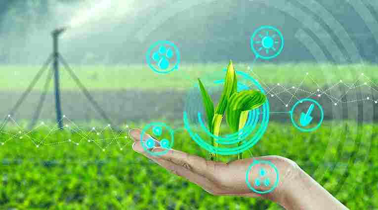 Brazil AI in Agriculture Market Growth, Share, Size, Scope and Forecast