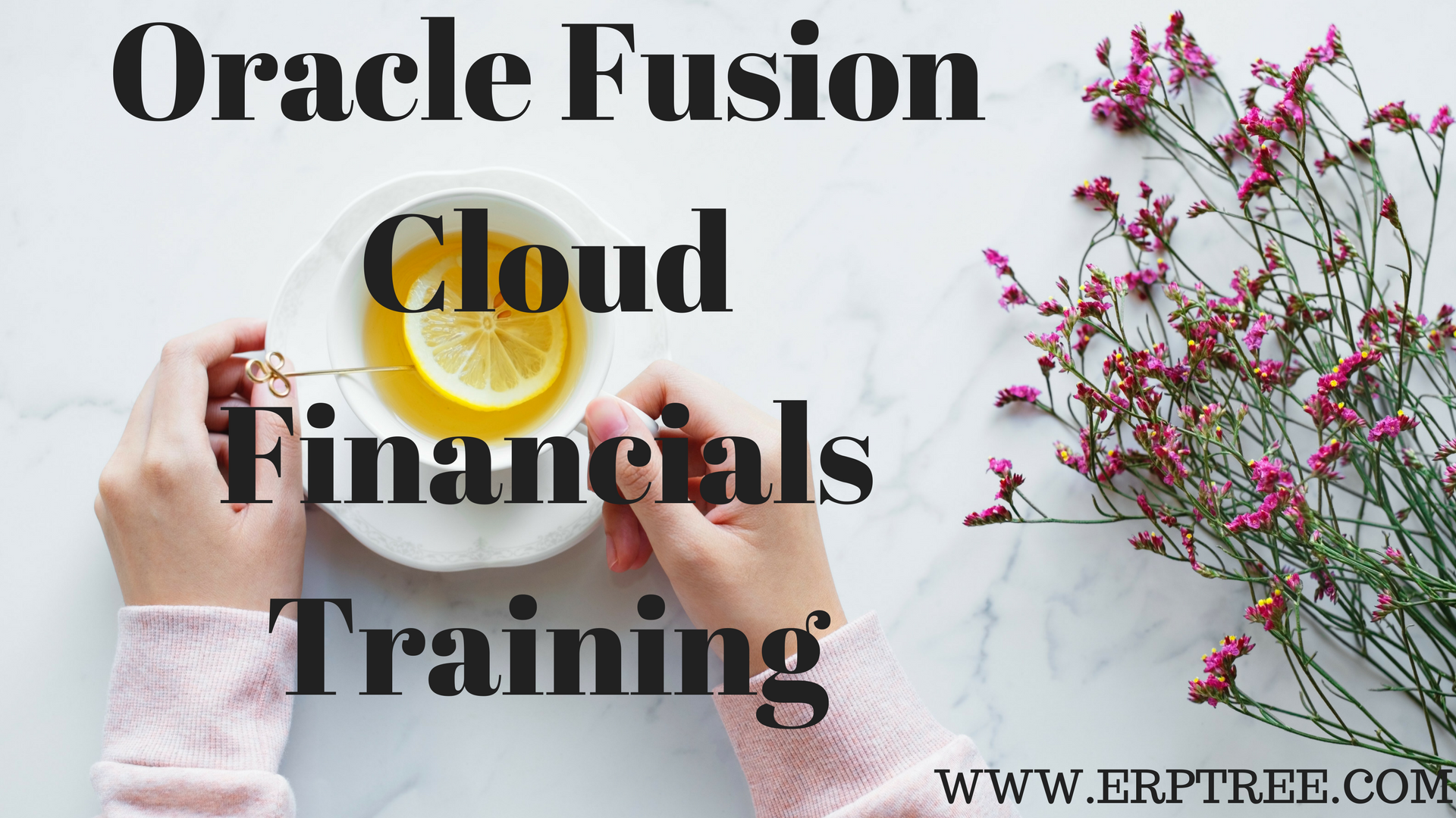 Oracle Fusion Cloud Financials Training