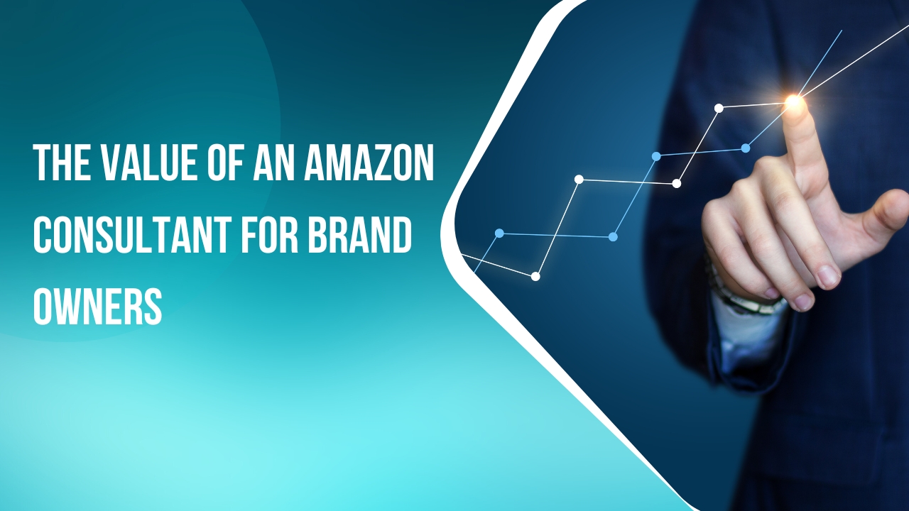The Value of an Amazon Consultant for Brand Owners