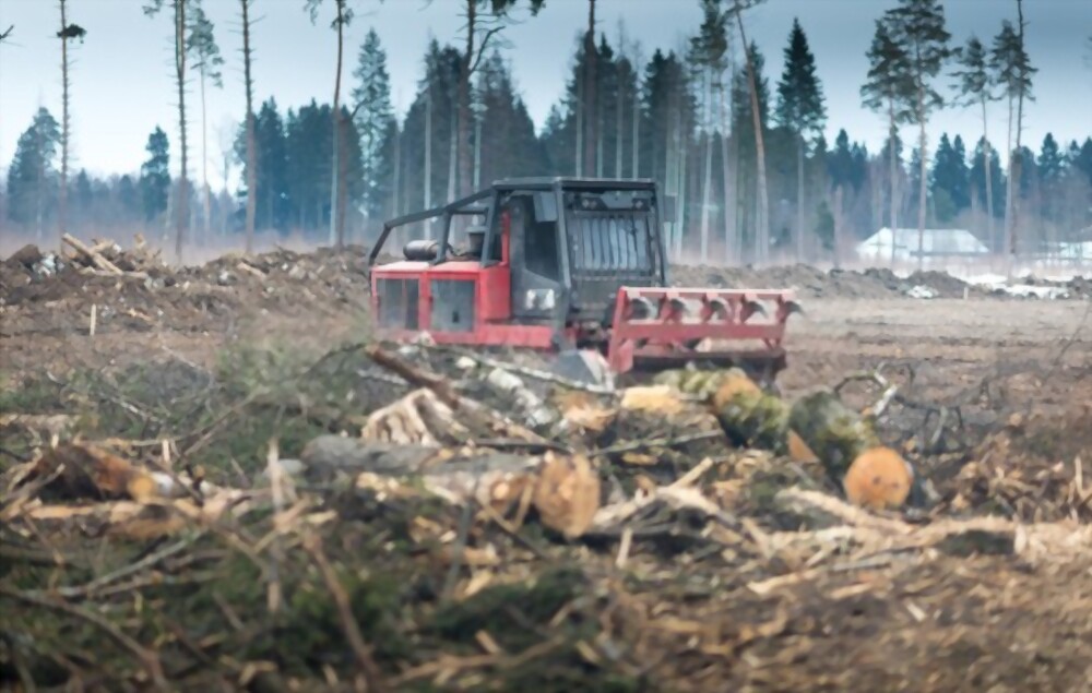 Advantages of Using Forestry Mulching And Stump Grinding Equipment