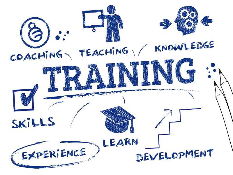 Training courses and their role in upgrading professional skills: