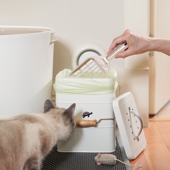 What are biodegradable plastic bags made from?