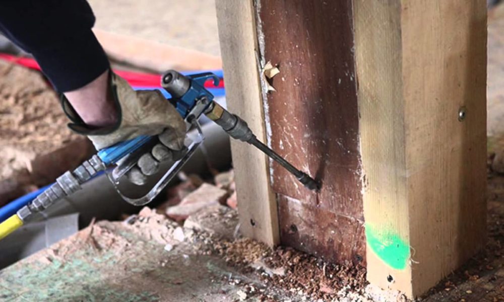 Defend Your Property with Top Termite Control Service