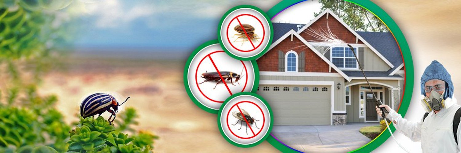 Home Termite Control And The Value Of Timely Inspection