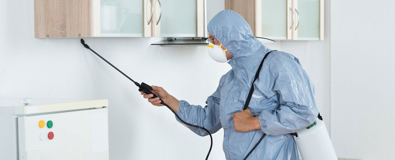 How Important is It to Have Termite Control Performed by Professionals?