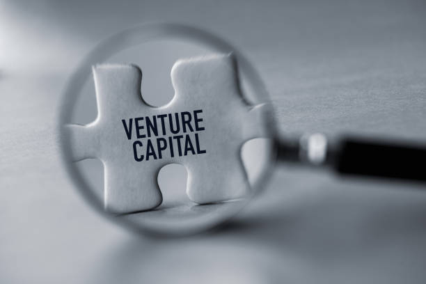 Build Connections with Our Venture Capital and Private Equity Email List