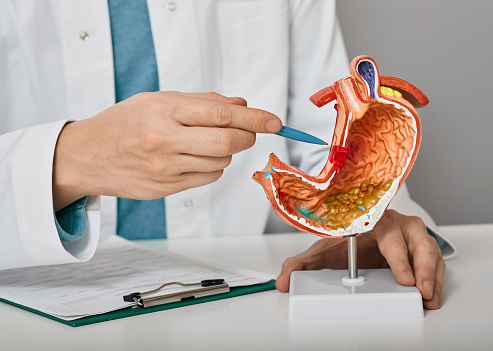 Gastroenterologist Email List | Gastroenterologist Contact List