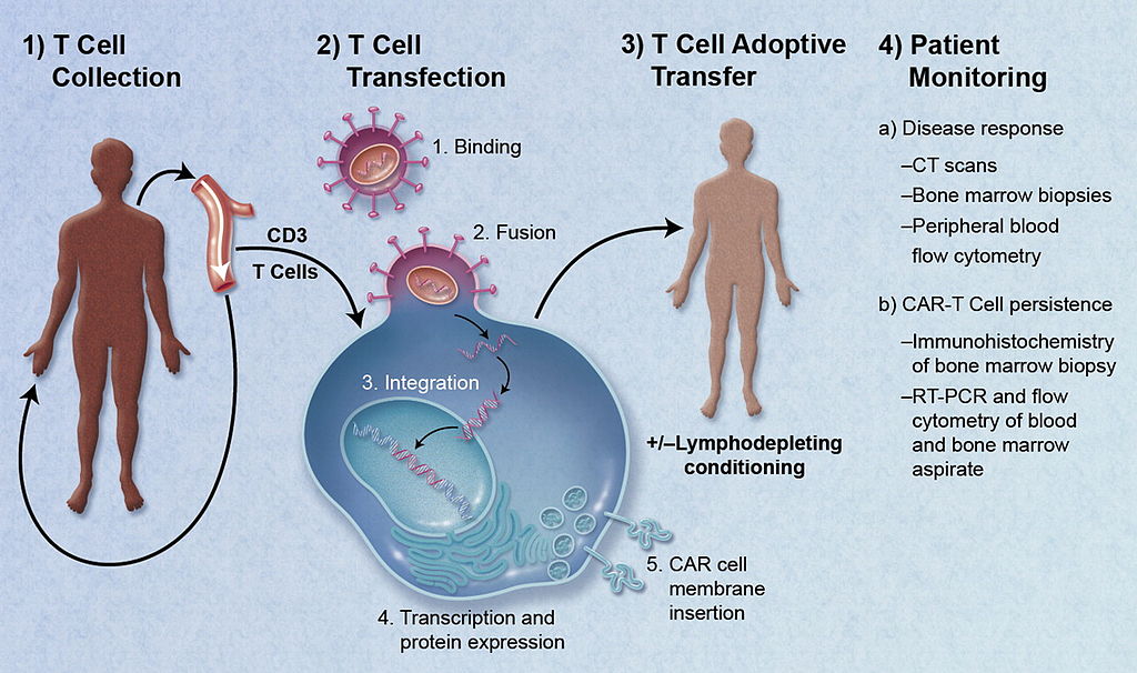 Comprehensive Report On Immune Checkpoint Inhibitors Market 2018 Global Analysis By Key Players- Bristol Myer Squibb, AstraZeneca, Merck & Co., Roche / Genentech, Incyte Corporation, NewLink Genetics, ArGEN-X,