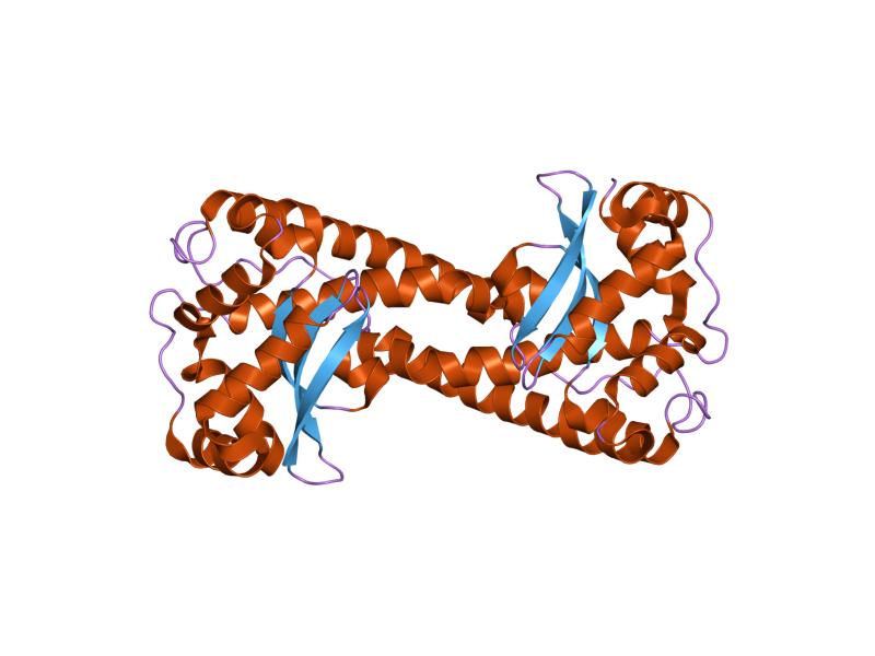 Superoxide Dismutase (SOD) Market Intelligence with Competitive Landscape during the Forecast Period 2018-2023 with Key Players like Bionov, MindSet Rx, Calzyme, Phyto Biotech