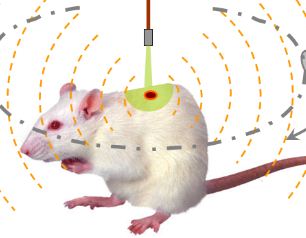 Global Photoacoustic Imaging Market Analysis Report By Segment, By Product, By Application, By Region - Global Forecast 2018-2023