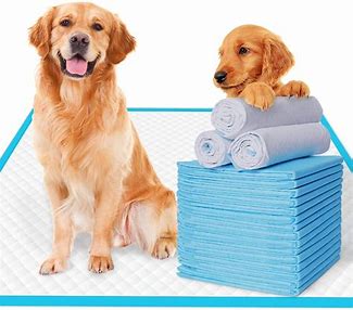 Puppy Training Pads Market Share, Size, Trends, Industry Analysis Report To 2028